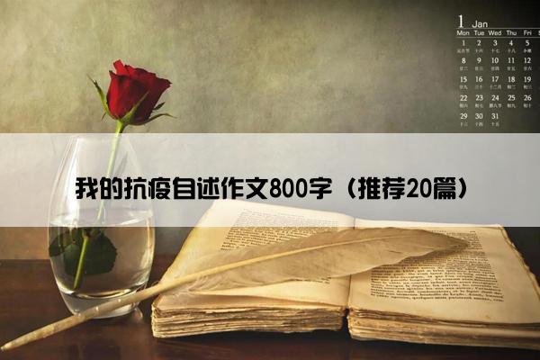 我的抗疫自述作文800字（推荐20篇）