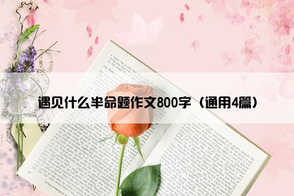 遇见什么半命题作文800字（通用4篇）