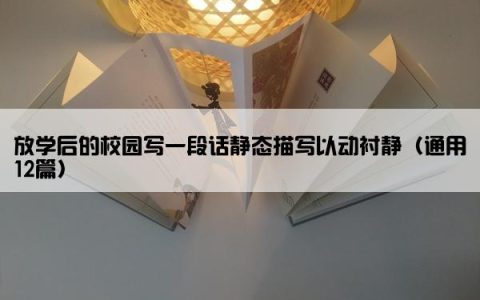 放学后的校园写一段话静态描写以动衬静（通用12篇）