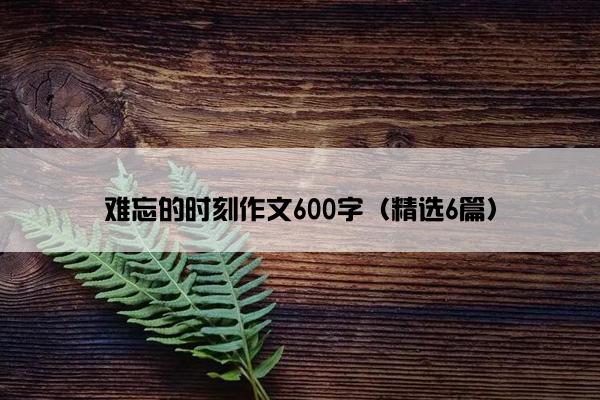 难忘的时刻作文600字（精选6篇）