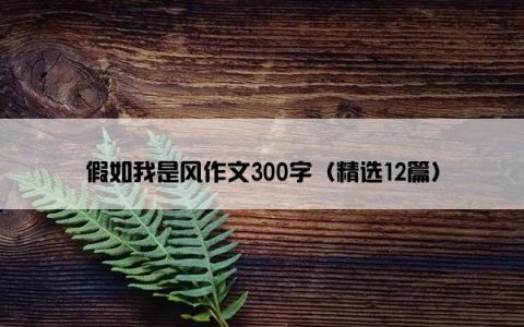 假如我是风作文300字（精选12篇）