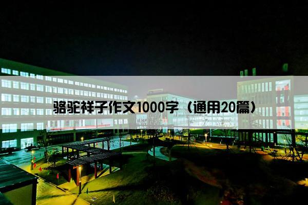 骆驼祥子作文1000字（通用20篇）