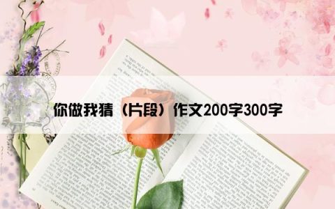 你做我猜（片段）作文200字300字