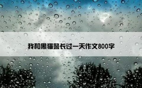 我和黑猫警长过一天作文800字