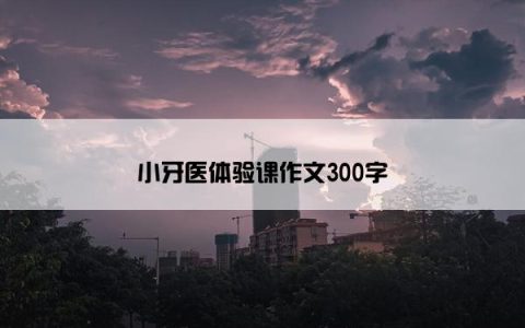 小牙医体验课作文300字