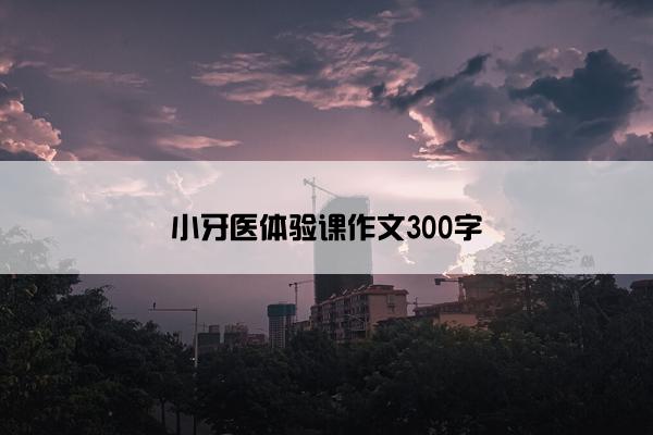 小牙医体验课作文300字