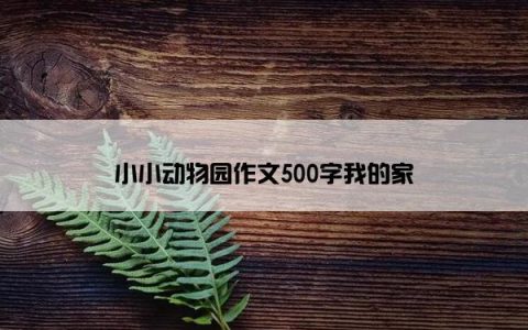 小小动物园作文500字我的家