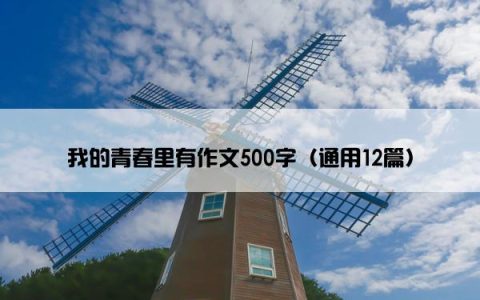 我的青春里有作文500字（通用12篇）