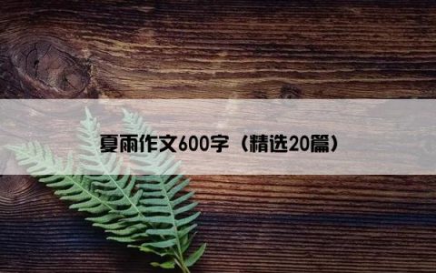 夏雨作文600字（精选20篇）