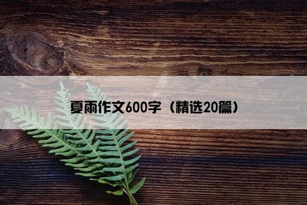 夏雨作文600字（精选20篇）