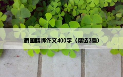 家国情怀作文400字（精选3篇）