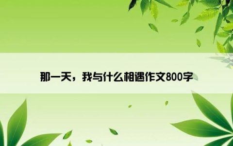 那一天，我与什么相遇作文800字