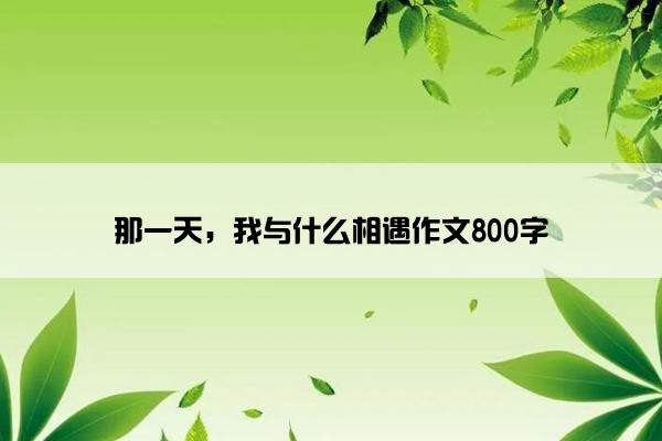 那一天，我与什么相遇作文800字