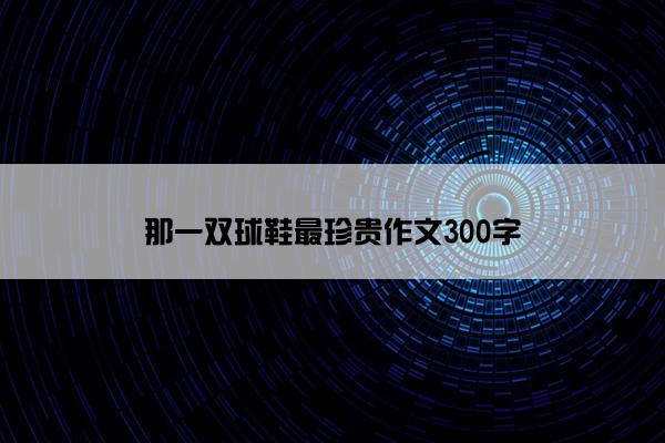 那一双球鞋最珍贵作文300字