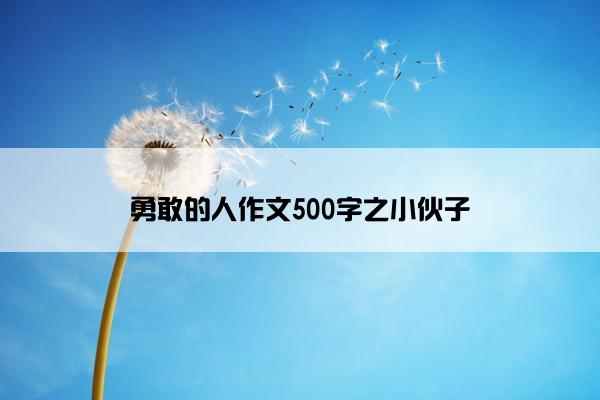 勇敢的人作文500字之小伙子