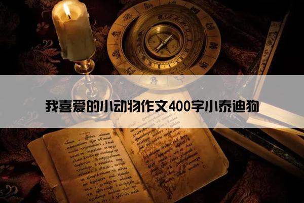 我喜爱的小动物作文400字小泰迪狗