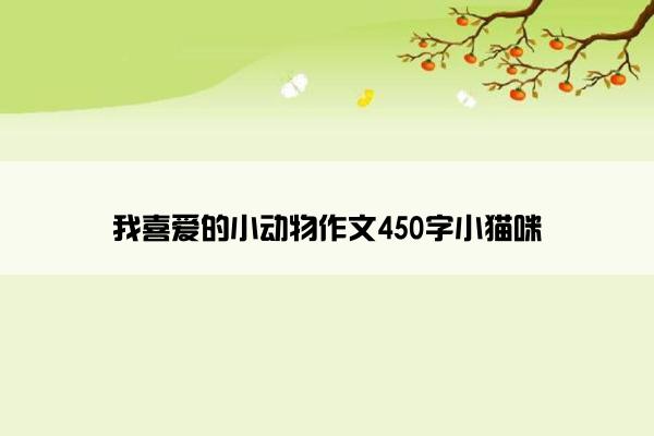 我喜爱的小动物作文450字小猫咪