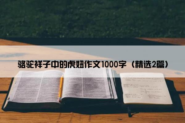 骆驼祥子中的虎妞作文1000字（精选2篇）