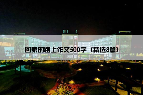 回家的路上作文500字（精选8篇）