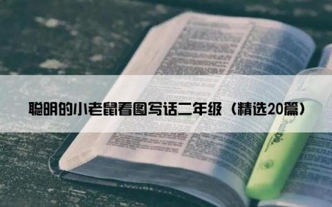 聪明的小老鼠看图写话二年级（精选20篇）