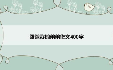 跟踪我的弟弟作文400字