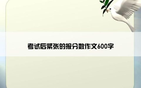 考试后紧张的报分数作文600字