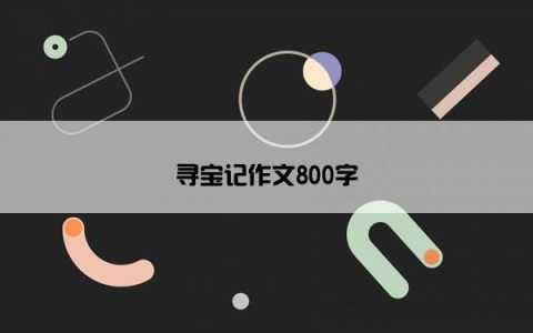 寻宝记作文800字