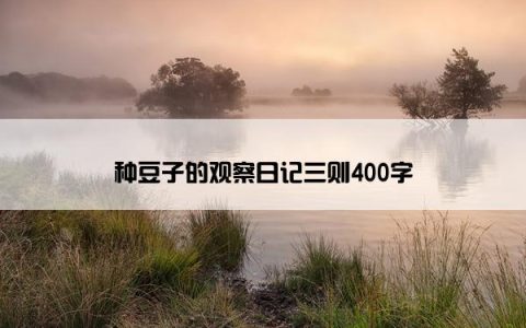 种豆子的观察日记三则400字