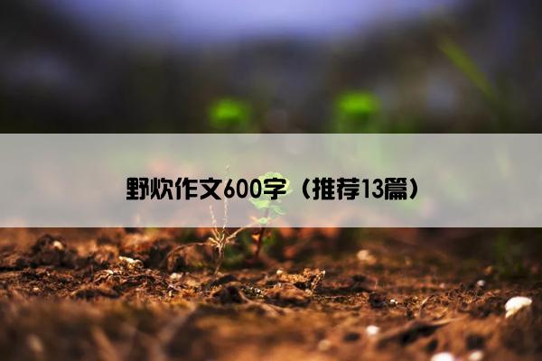 野炊作文600字（推荐13篇）