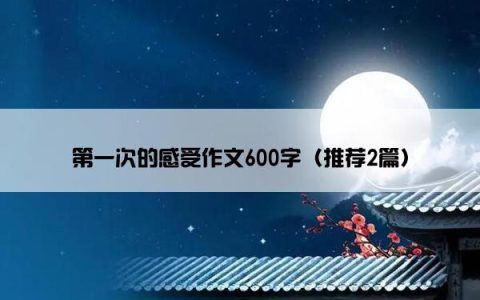 第一次的感受作文600字（推荐2篇）