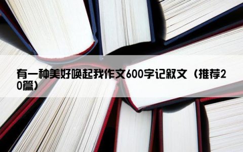 有一种美好唤起我作文600字记叙文（推荐20篇）