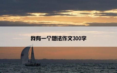 我有一个想法作文300字