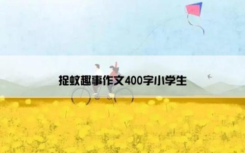 捉蚊趣事作文400字小学生