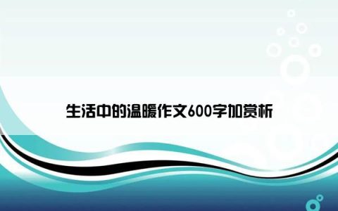 生活中的温暖作文600字加赏析