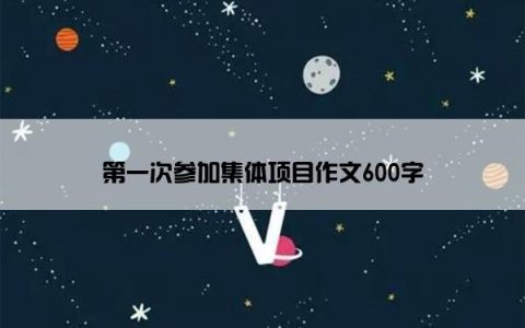 第一次参加集体项目作文600字