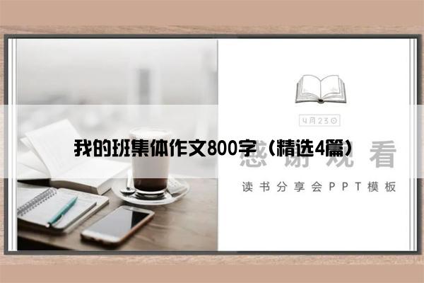 我的班集体作文800字（精选4篇）