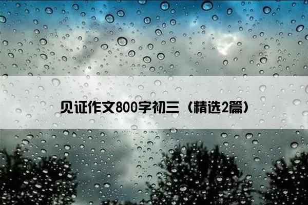 见证作文800字初三（精选2篇）