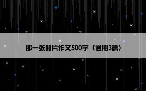 那一张照片作文500字（通用3篇）