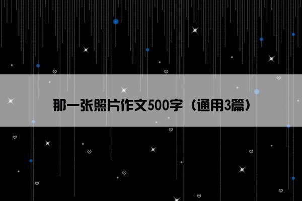 那一张照片作文500字（通用3篇）