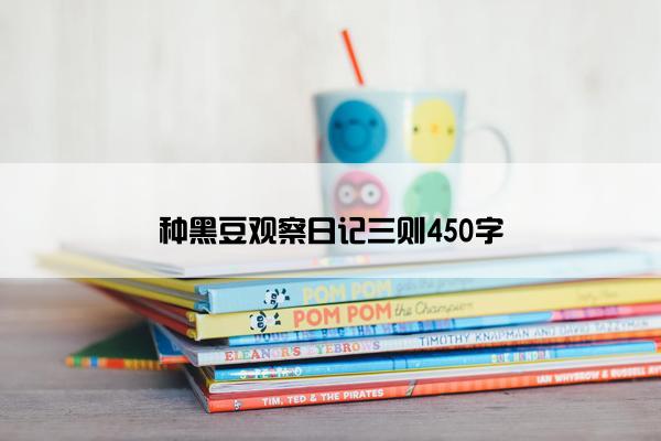 种黑豆观察日记三则450字