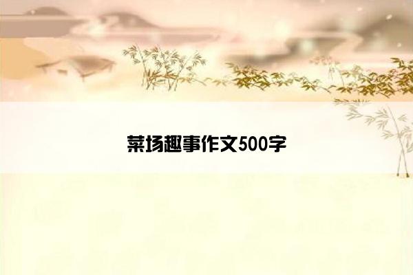 菜场趣事作文500字