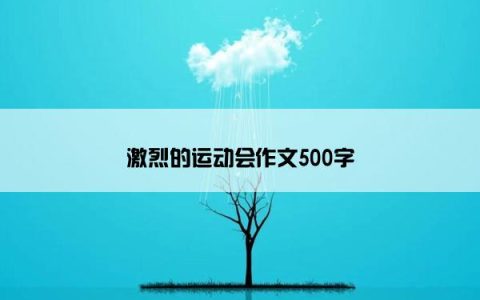 激烈的运动会作文500字