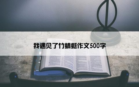 我遇见了竹蜻蜓作文500字
