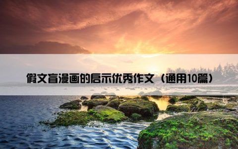 假文盲漫画的启示优秀作文（通用10篇）