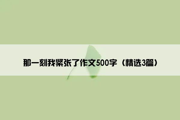 那一刻我紧张了作文500字（精选3篇）