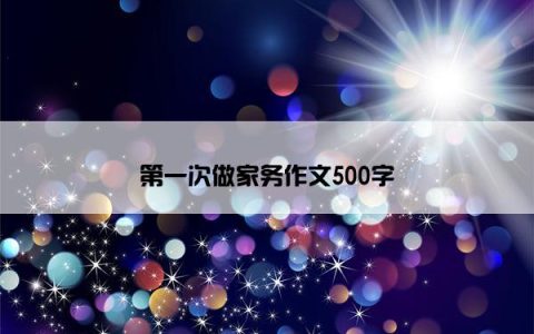 第一次做家务作文500字