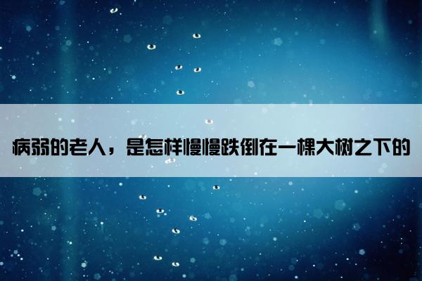 病弱的老人，是怎样慢慢跌倒在一棵大树之下的