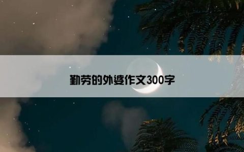 勤劳的外婆作文300字