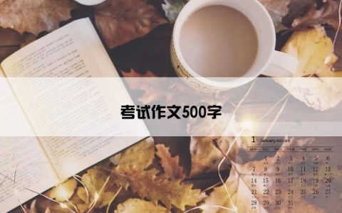 考试作文500字
