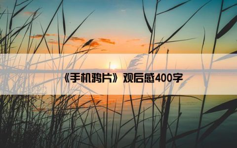 《手机鸦片》观后感400字